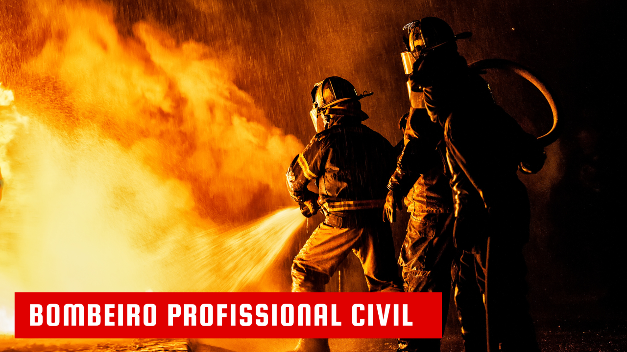 LEI FEDERAL 11901/2009 – BOMBEIRO PROFISSIONAL CIVIL